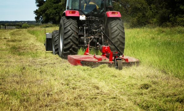 Brush Clearing Service in Ellijay