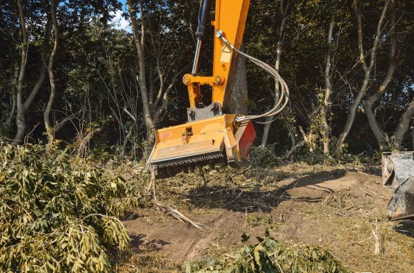 Brush Removal Service in Ellijay